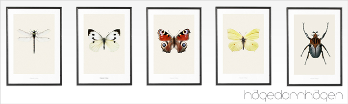 Hagedornhagen Prints
