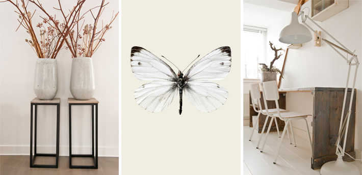 BaSIS Home